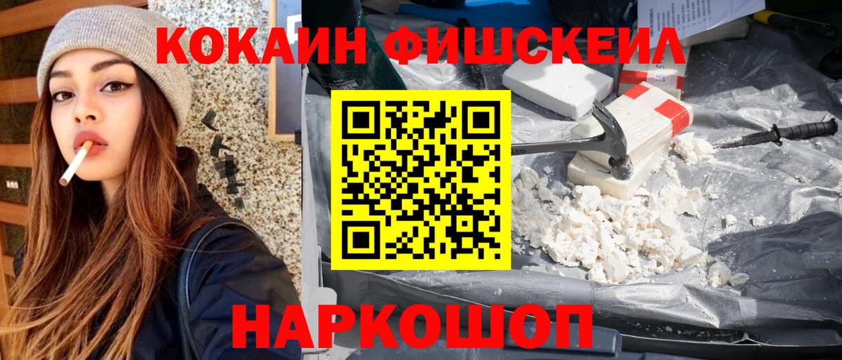 COCAIN Fish Scale  Вход с VPN  Димитровград 