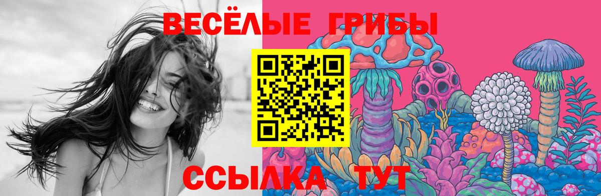 Псилоцибиновые грибы мухоморы Димитровград